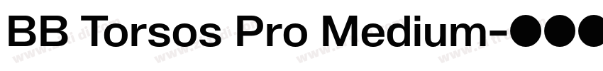 BB Torsos Pro Medium字体转换